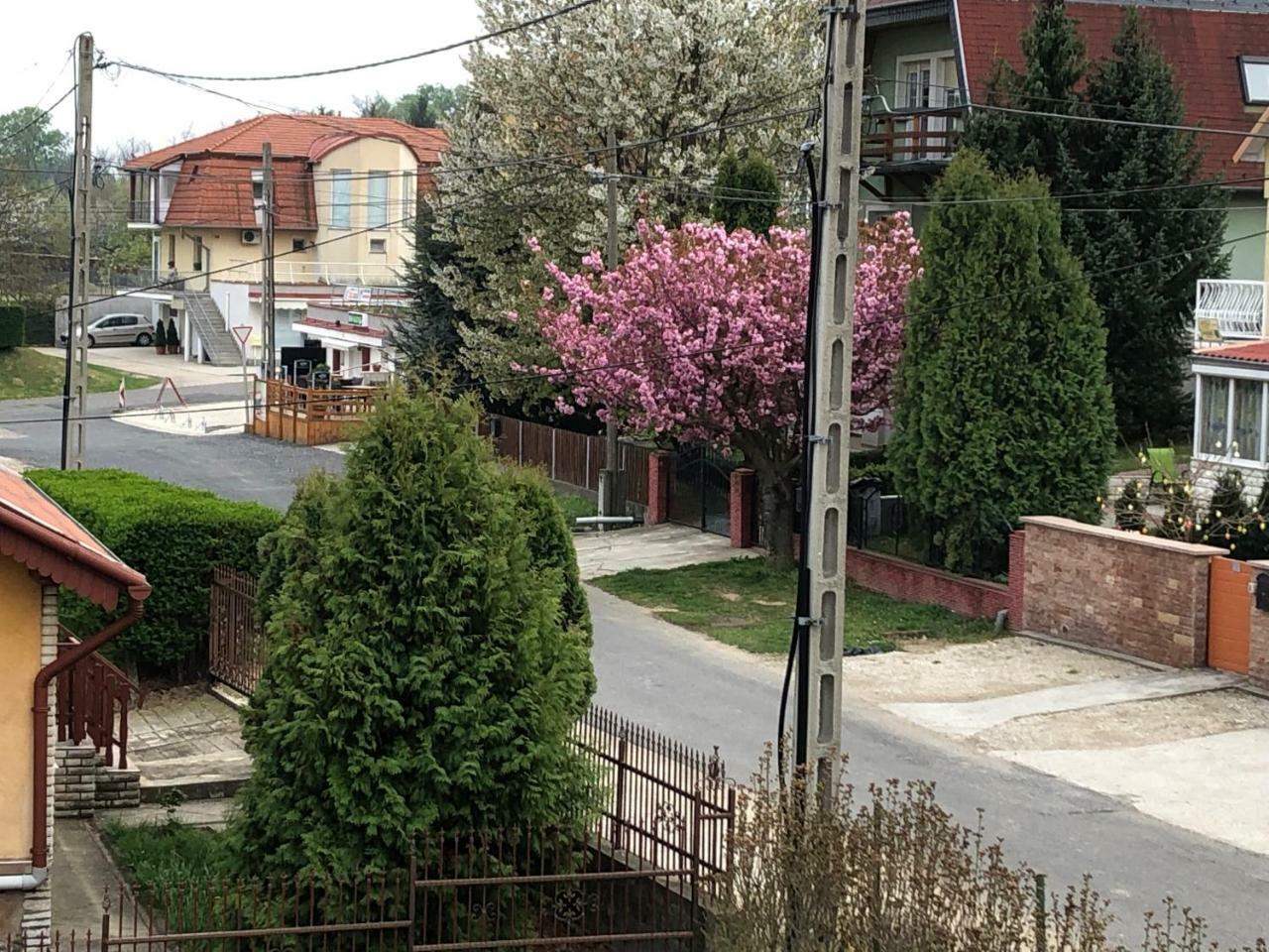 Jozsef Apartments House Zalakaros Exterior photo